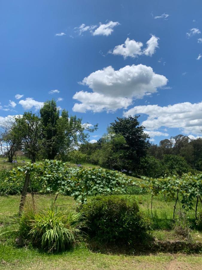 فيلا Sitio Vale Dos Vinhedos Bento Gonçalves المظهر الخارجي الصورة