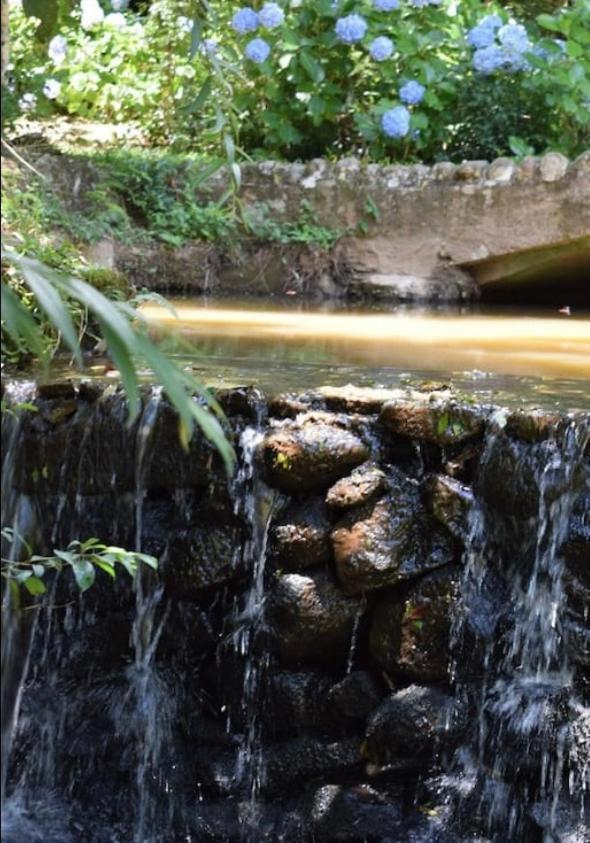 فيلا Sitio Vale Dos Vinhedos Bento Gonçalves المظهر الخارجي الصورة